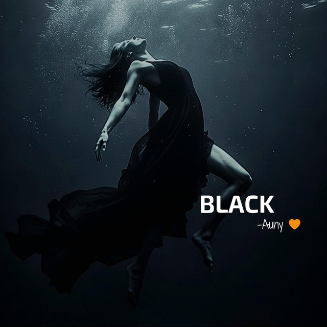 BLACK cover