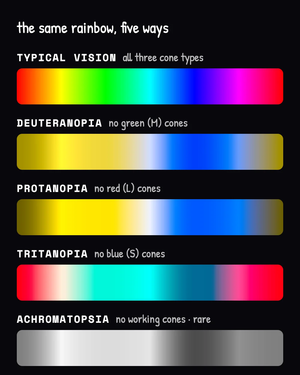 A rainbow gradient shown five times: typical vision, deuteranopia, protanopia, tritanopia and achromatopsia, each row simulated